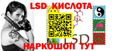 шишки Донской
