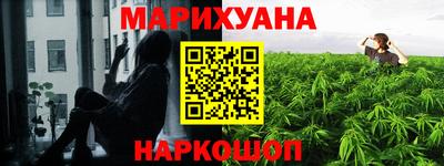 шишки Донской